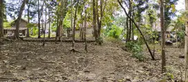 Dijual Tanah di Balecatur Gamping Sleman Yogyakarta