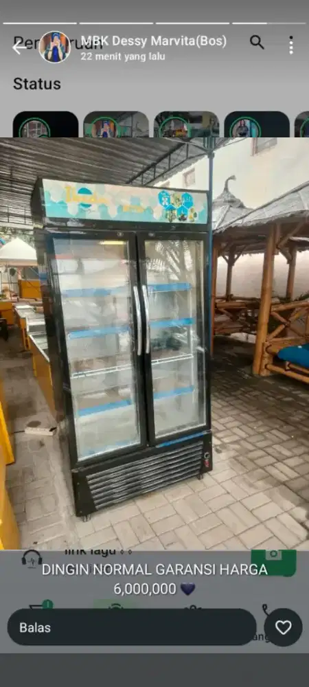 Showcase 2 pintu