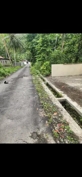 JUAL RUMAH TANAH LUAS DI PENGASIH KULONPROGO