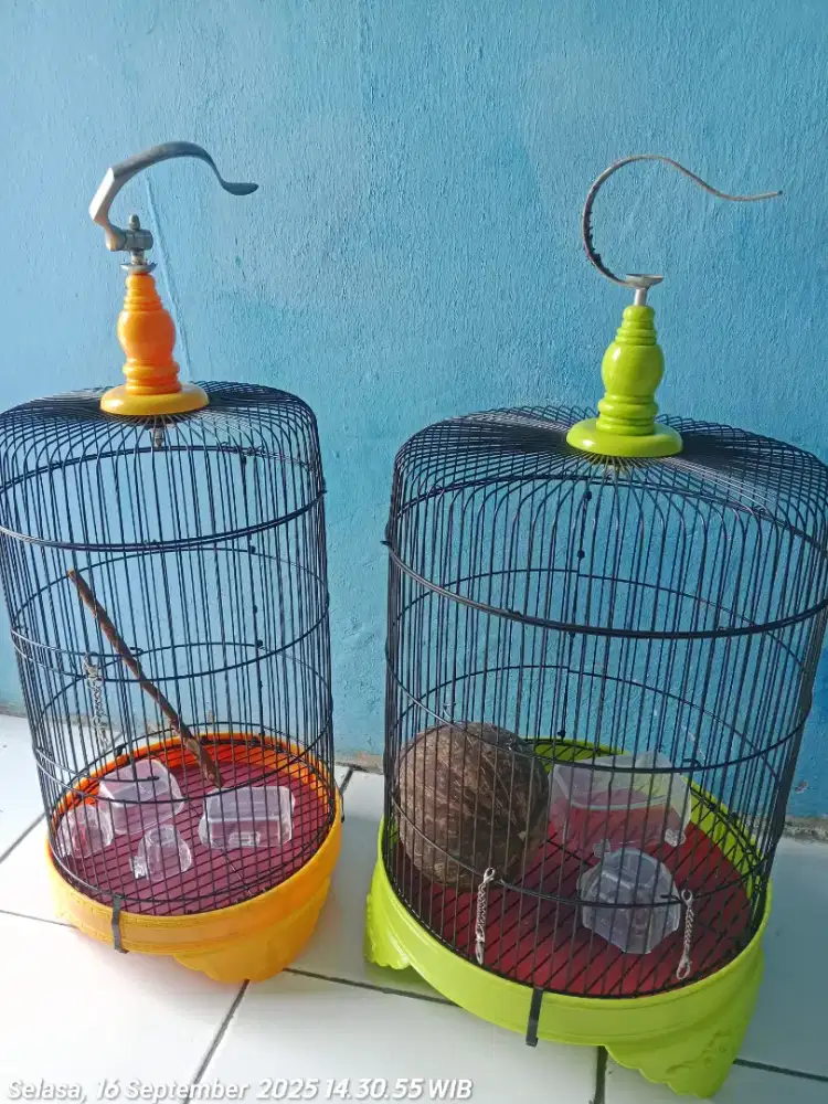 Jual sangkar burung seken, pemakaian cuma sebulan, barang masih gress