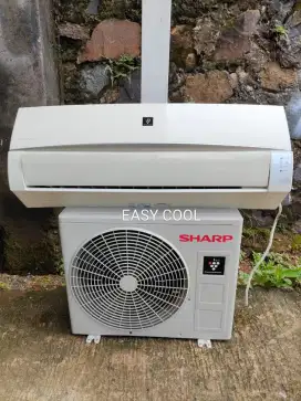 AC second Sharp 1/2 pk