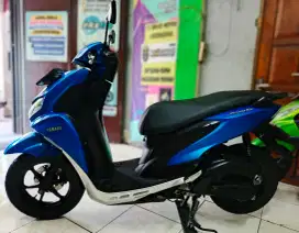 Ts.MURAH DP500 YMH FREGO STD 2020PMK