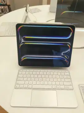 iPad pro M4 11inch ( wifi cellular 256GB)