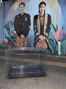 Kandang KucinG Galvanis Karangdowo