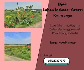 Tanah Kavling Untuk Industri Tepi Jalan Arteri Kaliwungu Kendal