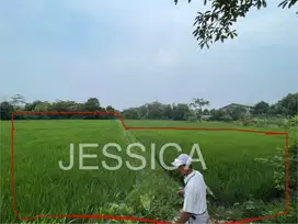 TANAH SHM COCOK PABRIK, GUDANG, MESS DI CURUG KAB. TANGERANG