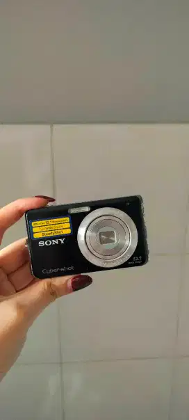 Digicam Sony Cybershot DSC W190