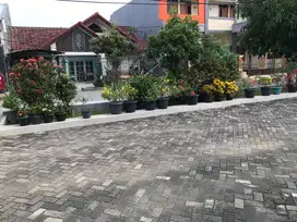 Dijual Cepat Rumah Satu Lantai di Harapan Indah, Bekasi