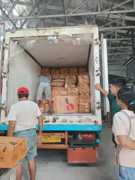 Durian Beku Termurah