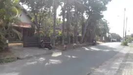 Properti ETNIK di Grafika Semarang