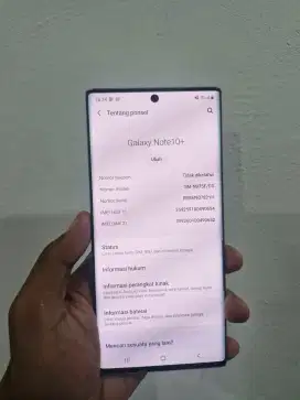 Samsung Note 10 plus