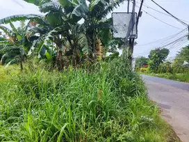 Tanah dijual 1,2 Hektar SHM Pinggir Jalan Serpong Parung di Gn Sindur
