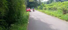 Dijual Murah, Tanah Cicil Flat 30X Tanpa Bunga Dekat Highland Resort