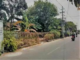 Tanah Pekarangan di Jogja, Kawasan Ramai Turis Mancanegara