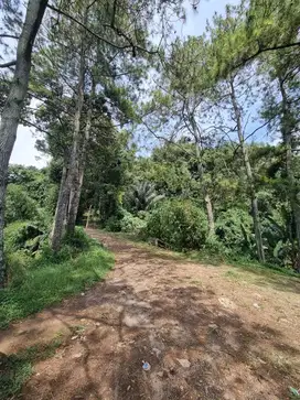 Jual Tanah Murah Luas Dekat Eldorado Lembang Bandung