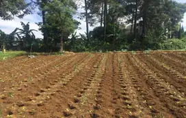 Dijual Cepat Tanah Lokasi Premium Jl Raya Setia Budi Bandung