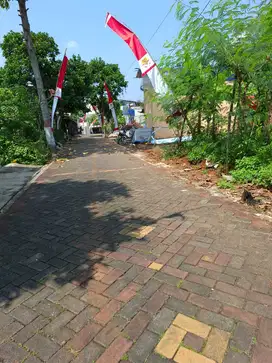 Tanah Tembalang Bulusan Undip