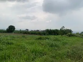 Tanah Murah Landungsari, Lokasi Strategis Dekat Pondok Thursina