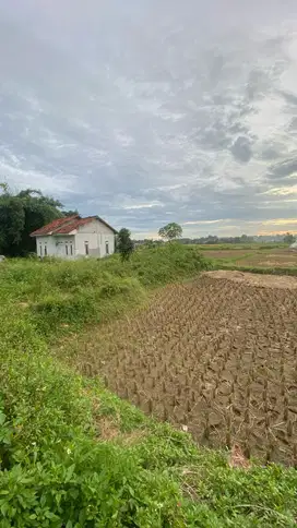 Dijual tanah murah dekat Paramount Petal Legok