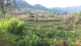 Tanah Strategis 12Ha Pinggir Jalan Raya Trans Yogi Kab Bogor
