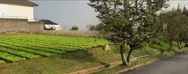 Tanah di Komp Setiabudi Regency, Mainroad, Jalan Lebar