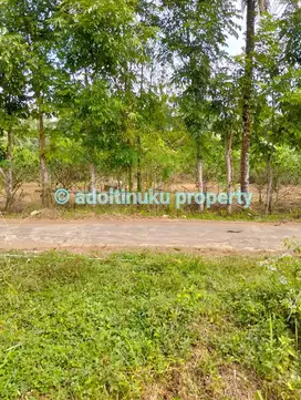 Tanah persegi dengan lebar muka 60 m di mertoyudan magelang