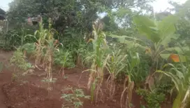 Dijual 2 tanah kavling di Garut, Cibatu, Padasuka