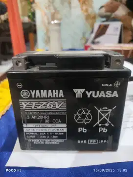 Aki YUASA YTZ6V
