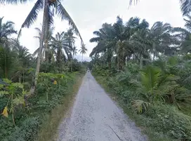 Dijual Cepat! Tanah SHM ±3,09 Ha – Air Joman, Asahan