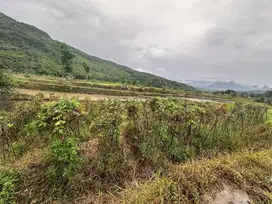 Dijual Cepat Tanah Kavling Harmoni Farm Ville Legalitas SHM