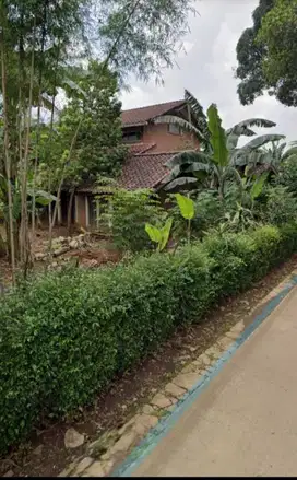 Jual Tanahnya saja di Harjamukti Depok
