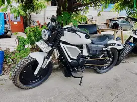 Custom Honda Tiger