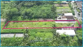 Dekat Samsat Sleman Lokasi Premium Tempel