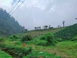 Dijual tanah tepi jalan raya tawangamangu