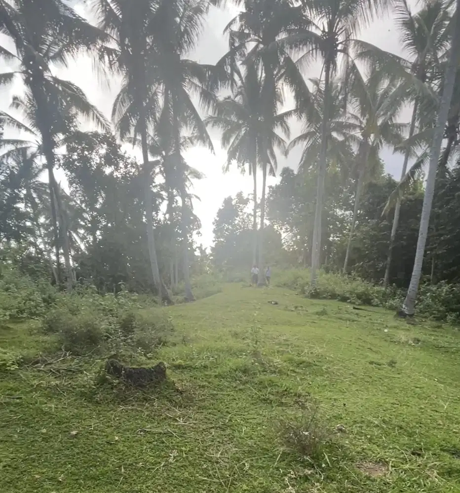Tanah Kebun Kelapa, Dekat Pantai