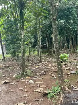 TANAH STRATEGIS SELANGKAH MENUJU STASIUN DI BOJONGGEDE BOGOR