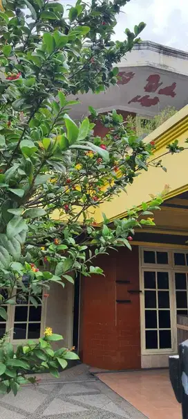 RUMAH KOS DI JUAL DI DUKUH MENANGGAL SURABAYA SELATAN