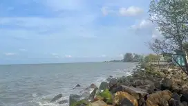 Tanah  &gt; 1 hektar pinggir jalan raya pantura