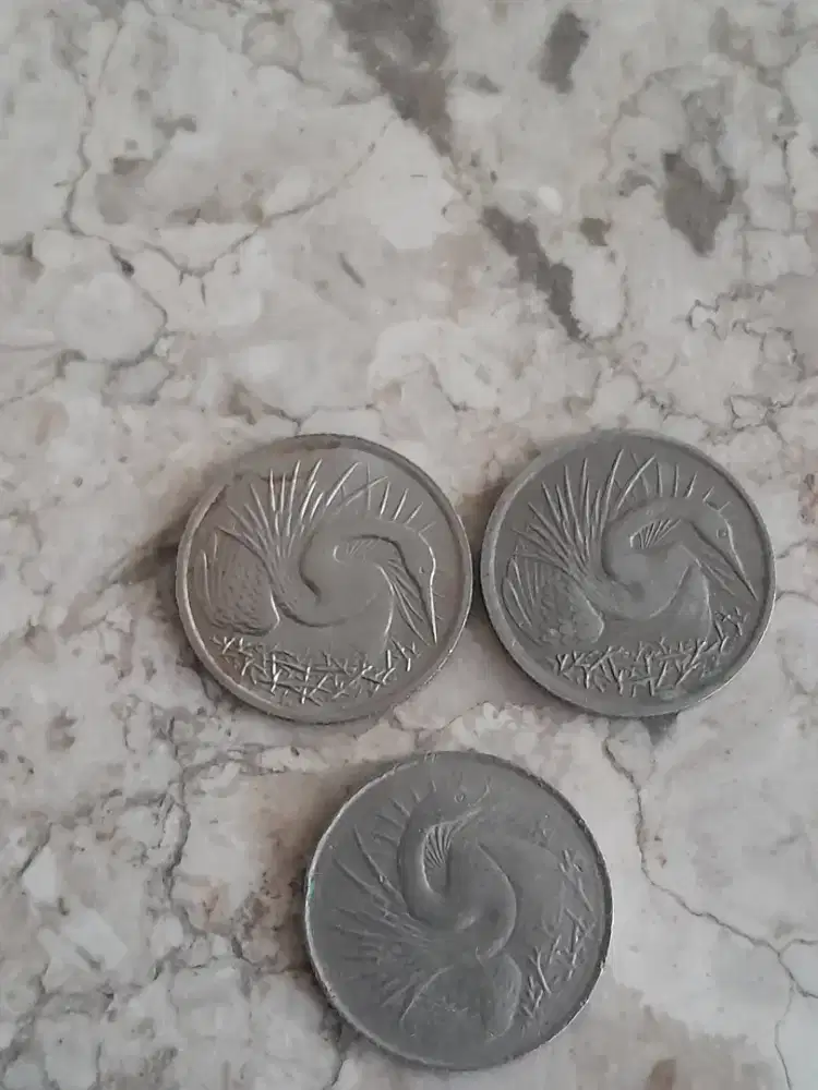 Uang koin Singapura