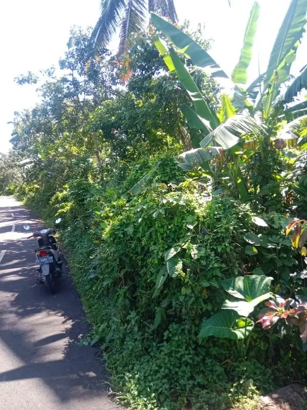 jual tanah kebun subur