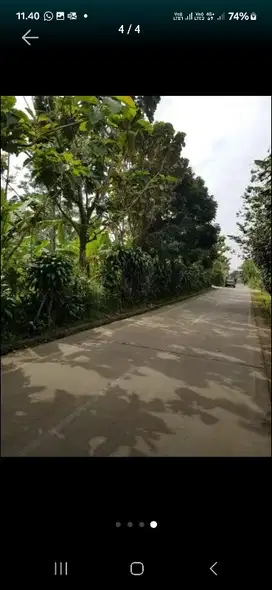 Dijual Tanah kebon cengkeh
