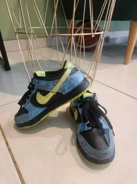 Nike Dunk Low SE-2 Kids