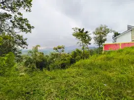 Dijual tanah murah plumbon tawangmangu
