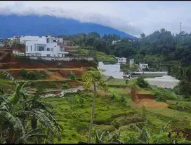 Tanah murah siap bangun di megamendung puncak