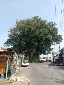 Tanah Murah Jogja Purwomartani, Area Perumahan
