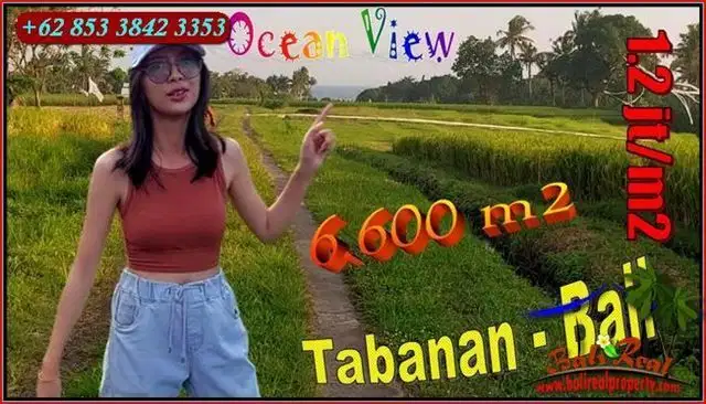 Dijual Under Market Price 66 Are Tanah Sawah