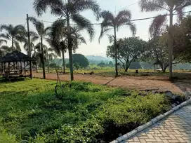 Tanah murah free shm
