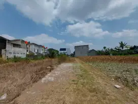 Dijual Tanah Jogja, 100 Meter Jl Damai, Dekat Hotel Hyatt Jogja