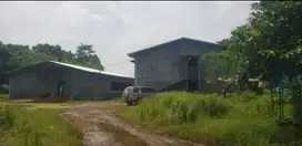 Dijual Kandang Ayam luas 30.000 m2 Subang Jawa barat