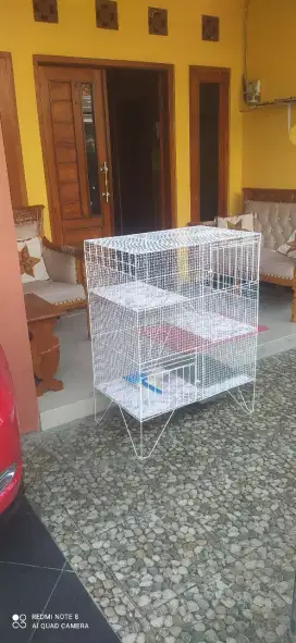Kandang kucing..